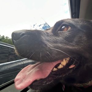 Meet your Posher, Benjamin